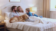 Product demonstration video of the Mxnsewr CY168 mattress vacuum